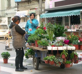 PICT0365
