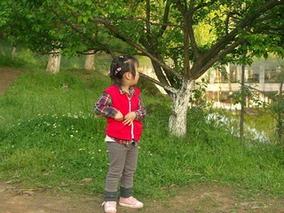PICT0354