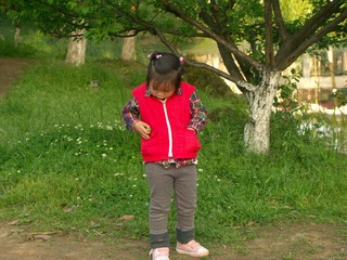 PICT0353