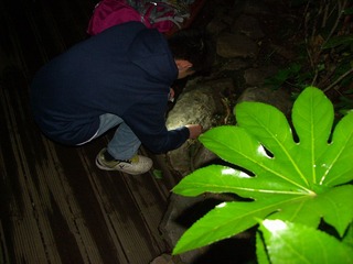 PICT0557