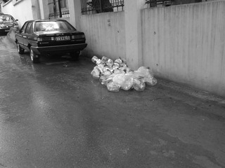 PICT0038