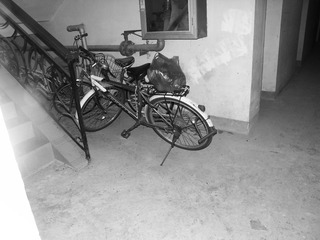 PICT0088
