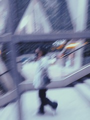 2520878