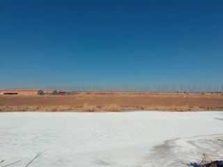 5035314