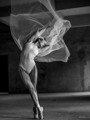 BD673C84-85CC-4C04-93F4-E382A03D1A5E/L0/001