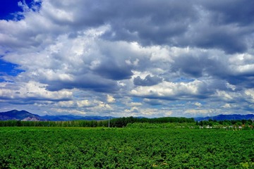 DSC02112_