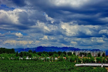 DSC02113_