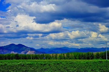 DSC02114_