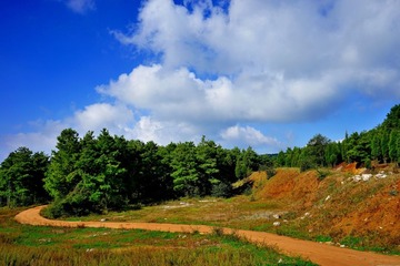 DSC01317_