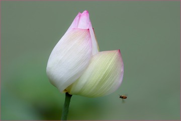 FDC0B336-8BF9-4977-8EBB-E86BAE1443A1/L0/001