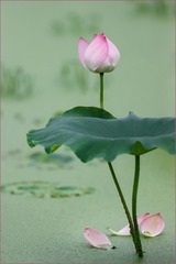 414FB8E2-9B29-4C81-905E-E1FB3AB01D52/L0/001