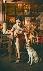 摸摸狗