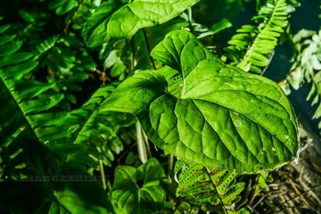 P1110854