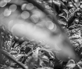 P1110869