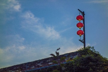_DSC1811-1