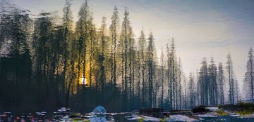 _DSC0850-1
