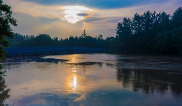 _DSC2649