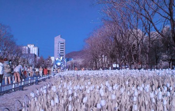 S1050061.jpg-1
