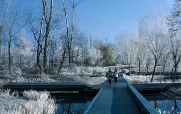 S1050064.jpg-1