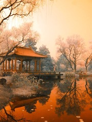 S1050041.jp1.jpg-1
