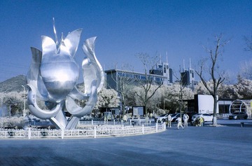 S1050066.jpg-1