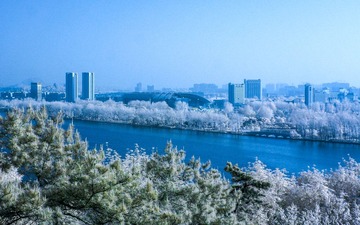 S1050021-1
