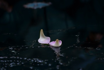 546560