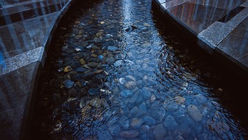 IMGP6388.jpg