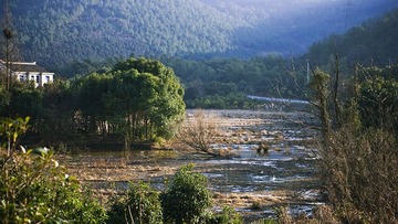 青山绿野