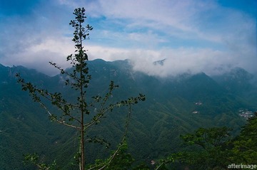 九华山的山