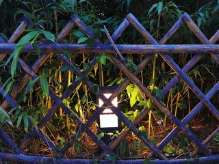 YYX-10