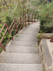 YYX-6