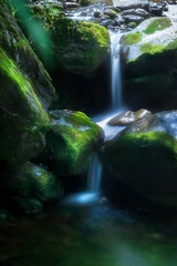 “DSC_0399”为智能对象-1