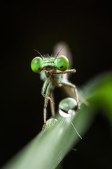 JS-Photo_39435
