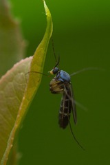 12009786