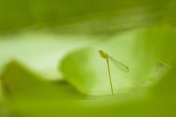1200853