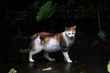 IMG_9730_??
