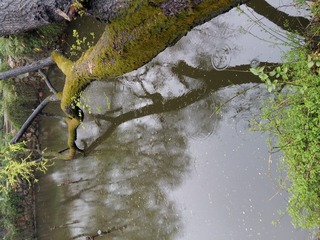 20160403_161143