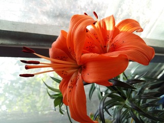 20160408_110526