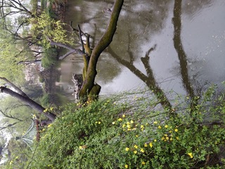 20160403_160949