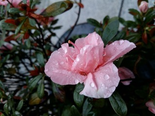 20160403_154434