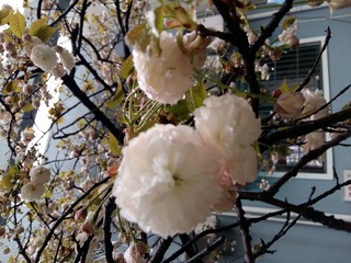 20160403_153645