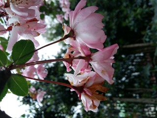 20160331_160154