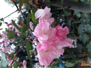 20160331_160140