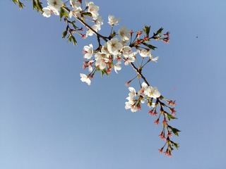 20160327_145921