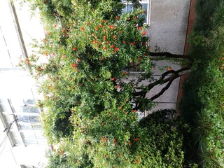 20160528_135211