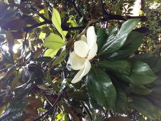 20160528_132850