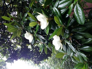 20160528_132400