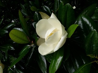 20160528_132350