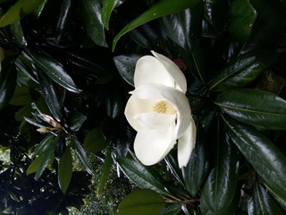 20160528_132343